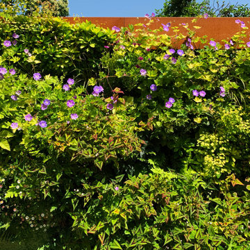 Richmond Garden