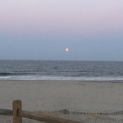 Kate Mullin's photo