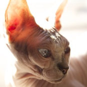 spone13's photo