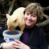 Gail O'Keefe's photo