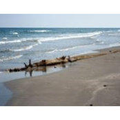 Kathy Heymanns foto