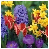 Marilyn Disser's photo