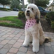 Susan Ewald's photo