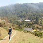 Mazzola Bui's photo