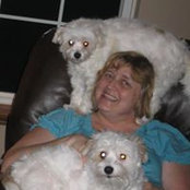Celine Klimaszewski's photo