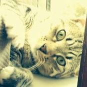 Foto de Jill Rittenhouse
