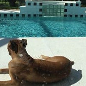 Glenn Goodman's photo