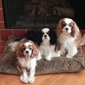Donna Warlick's photo