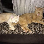 Sharon Bridges's photo