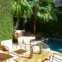 Zen Tropical backyard