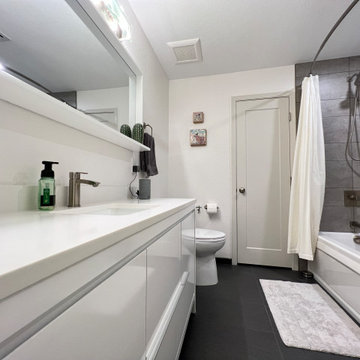Dirk & Megan’s Guest Bathroom Remodel