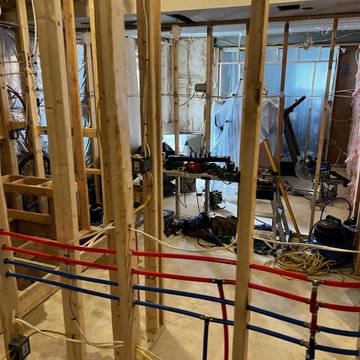 Basement Remodel