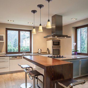 Instant Pendant Ligth Conversion Kits