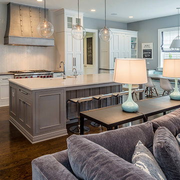 Rustic Modern Custom Home- Naperville, IL