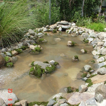Biological Koi Ponds