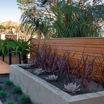 San Francisco Equilibrium House 1