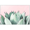 "Sweet Succulents" Floater Framed Painting Print on Canvas, 18"x12"