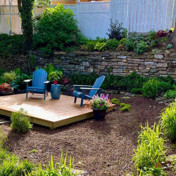 West Mt. Airy Woodland Garden