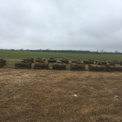 Tall Fescue Harvest - Products