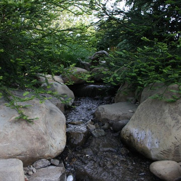 Creekside Farms / Front Yard Water Feature