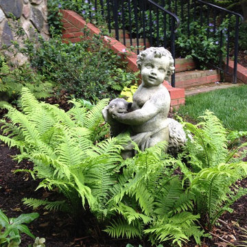 Shade Garden