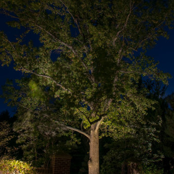 Landscape Lighting Adds Outdoor Magic to Stately Ohio Home