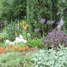 edible landscaping