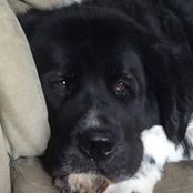 Bridget Boyle's photo