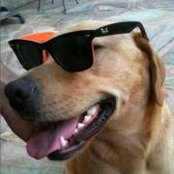 Fabio Maluf's photo