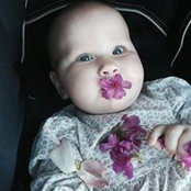 Thomas Churchwright's photo