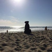 Josh Webber's photo