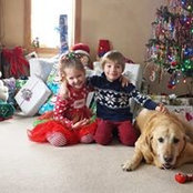 Sharon Rushford's photo