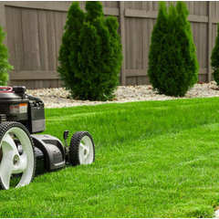 Creative Landscaping