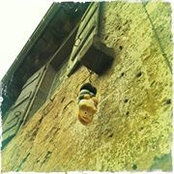 Nicolas Rietsch's photo