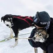 Gabriel Cortes's photo