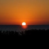 Dina Leigh's photo