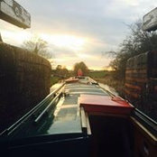 Lou Webb's photo