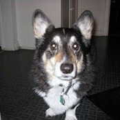 Lauren Molitor's photo