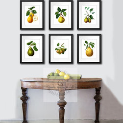 Pear Fruit Art prints Kitchen Wall decor ideas - Products