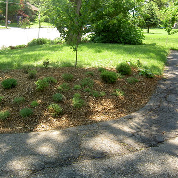 DYI Landscape - No Retaining Wall or Curb Necessary
