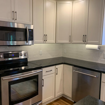 Contemporary Kitchen Remodel Done in a Bisque Color