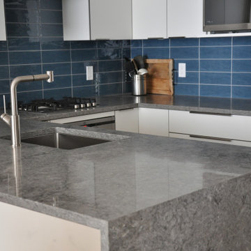 Modern Small Condo Kitchen