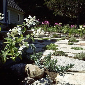 Browne Project