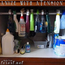 organization