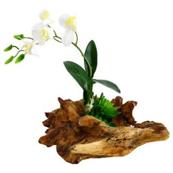 Rustic Artificial Flower Arrangements Orchid and Succulents in Driftwood Vase