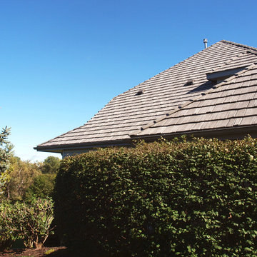 Papillion DaVinci Bellaforté Roof