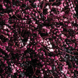 Sprinkle Rug By Linie Design - Rugs