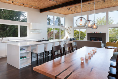 Example of a minimalist kitchen design in Seattle