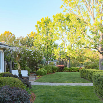 Formal Lawn with Clipped Hedges