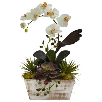 Orchid and Succulent Garden With White Wash Planter